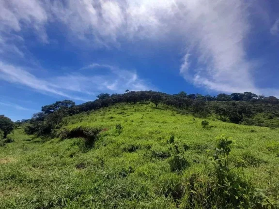 Imagem Fazenda à venda em Barbacena, Correia de Almeida, com 4 quartos, 53ha