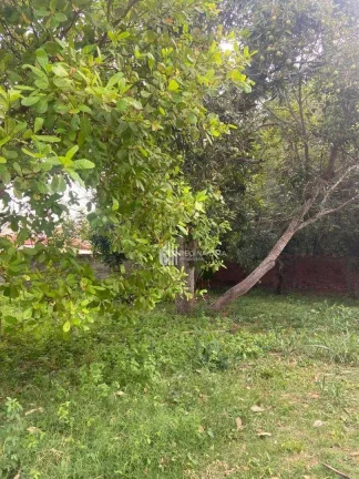 Imagem Terreno 60X60m² ( 3,600m) à venda, 3 m² por R$ 1.200.000 - Morros - Teresina/PI