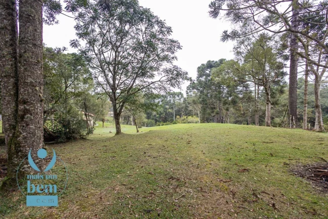 Imagem Belíssima Chácara com 3 dormitórios à venda, 6000 m² por R$ 1.400.000 - Salgadinho - Campo Largo/PR