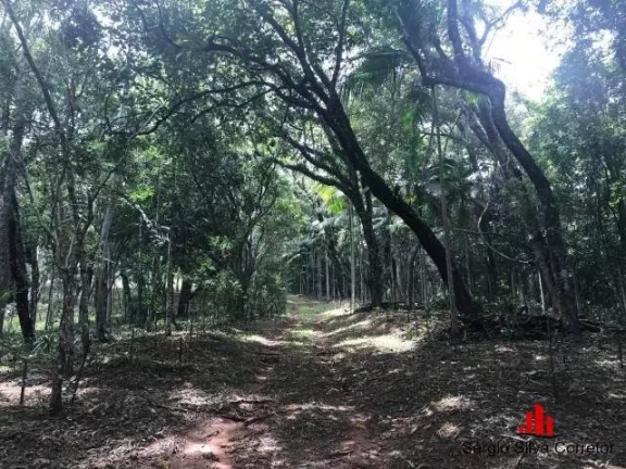 Imagem Chácara com 4,5 Ha a Venda no Vale Dos Melos em Campos Do Jordão - SP.