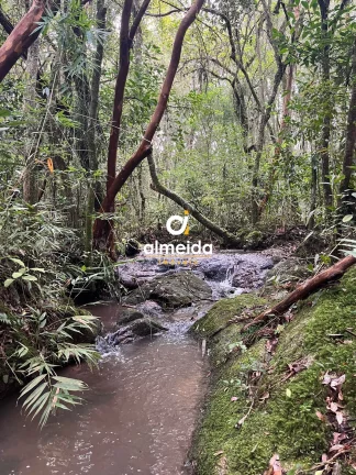 Imagem Chácara 3 dormitórios à venda Zona Rural Butiá/RS
