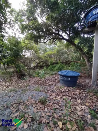 Imagem ÁREA EM ARRAIAL D'AJUDA