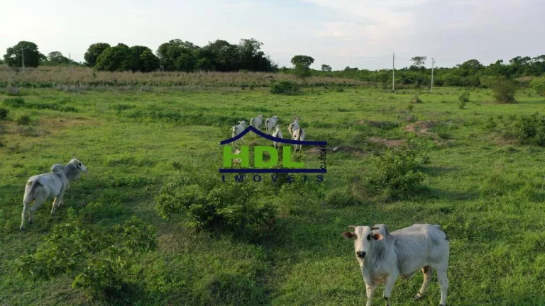 Imagem Fazenda 230 Alqs em Natividade do Tocantins