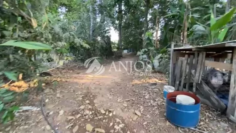 Imagem CHÁCARA NO RIO TELES PIRES Á VENDA, ÁREA RURAL, NOVA CANAA DO NORTE - MT