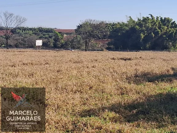 Imagem Propriedade Rural em Guaimbê, SP - 12 Alqueires Sitio Valenciano
