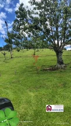Imagem SÍTIO DOS SONHOS EM ANGELINA - SC Brasil