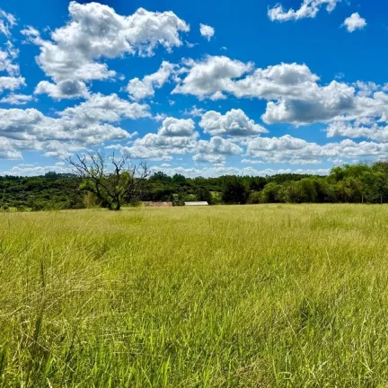 Imagem INVESTIDORES!!! - Sítio a venda com 3 Hectares, Pimenta, Viamão/RS