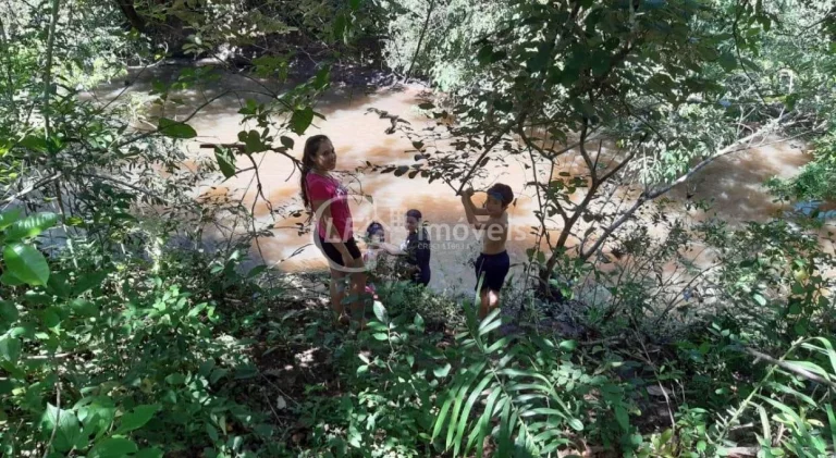 Imagem Excelente Chácara, 15.5 Ha, formada,