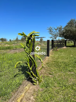 Imagem Chácara 3 dormitórios à venda Zona Rural Butiá/RS