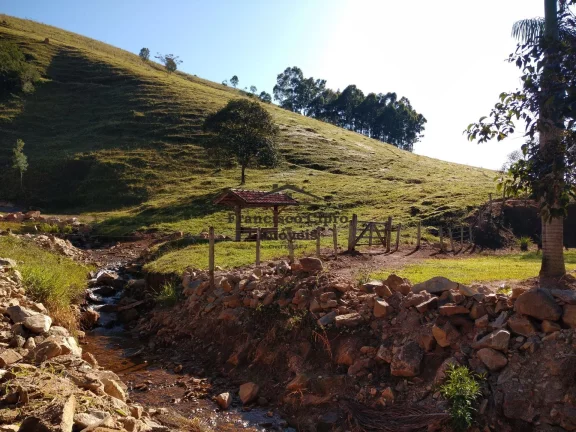 Imagem Fazenda à venda no bairro Macacos - Silveiras/SP