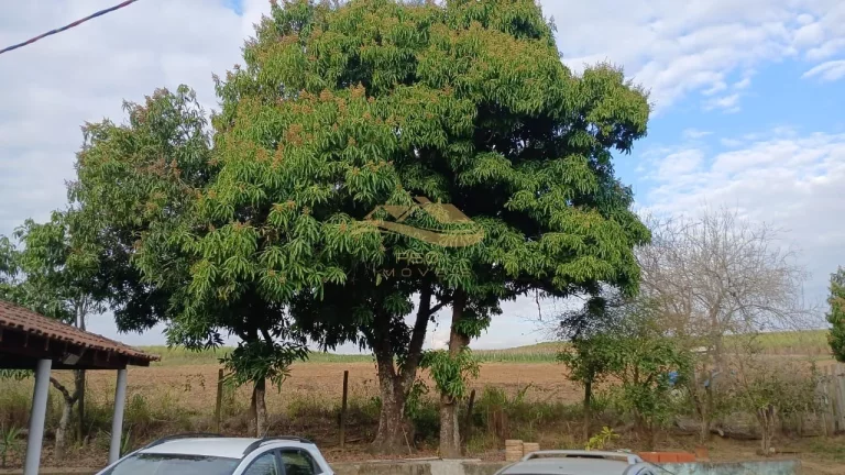 Imagem SÍTIO EM APARECIDA DO TABOADO