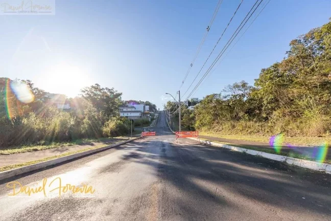 Imagem Lote com fundo e vista livre para a reserva na Travessa Orquídeas