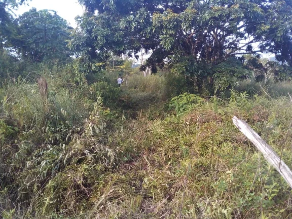 Imagem Terreno para Venda em Itanhaém, Aguapeú