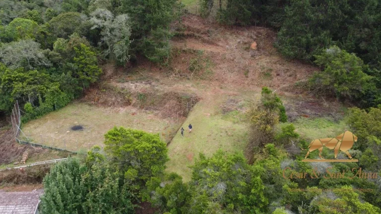 Imagem ÁREA DE 6500M² COM CASA EDIFICADA Á VENDA EM CAMPOS DO JORDÃO-SP