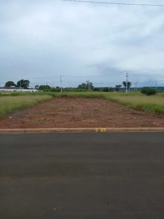 Imagem Terreno Padrão