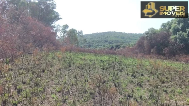 Imagem Fazenda para Venda em Centro Canguçu-RS - 2055