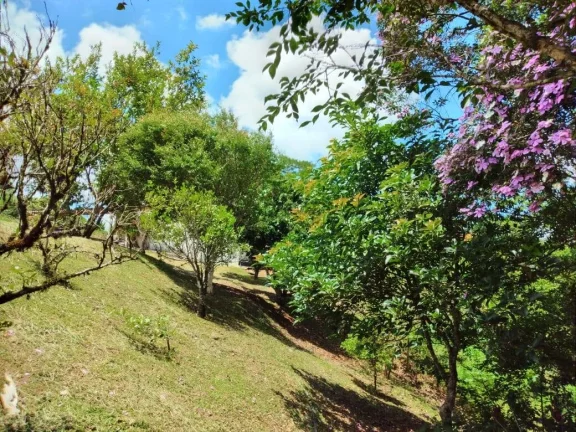 Imagem CHÁCARA COM POÇO ARTESIANO NO BAIRRO RIO BONITO - TAPIRAÍ -SP