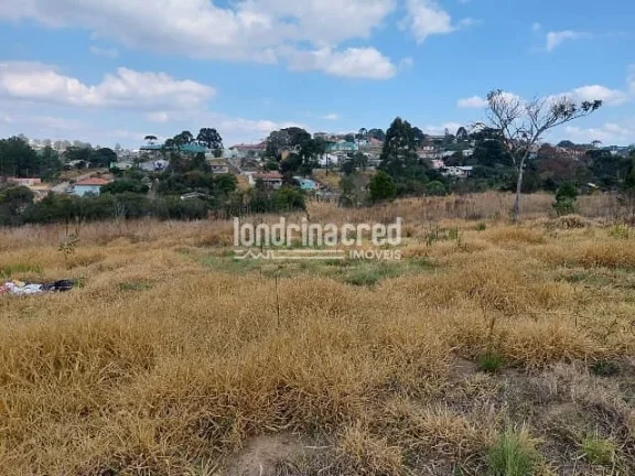Imagem Terreno à venda Centro, Ponta Grossa - PR