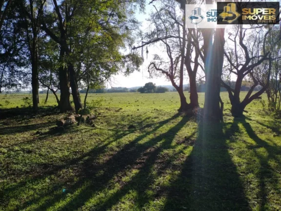 Imagem Fazenda Pecuária de excelência para Venda em Cristal-RS