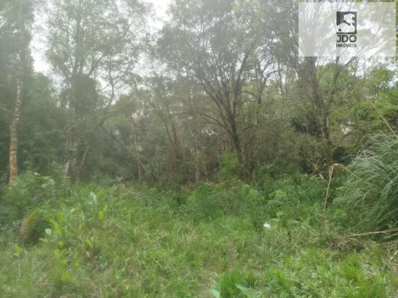 Imagem Terreno a Venda no bairro Del Rey - São José dos Pinhais, PR