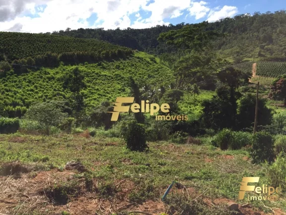 Imagem FAZENDA EM COLATINA (28KM DO CENTRO) / UM IMPERDÍVEL NEGÓCIO!