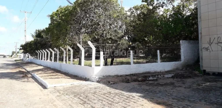 Imagem Chacara a venda em são josé de mipibu - BR 101