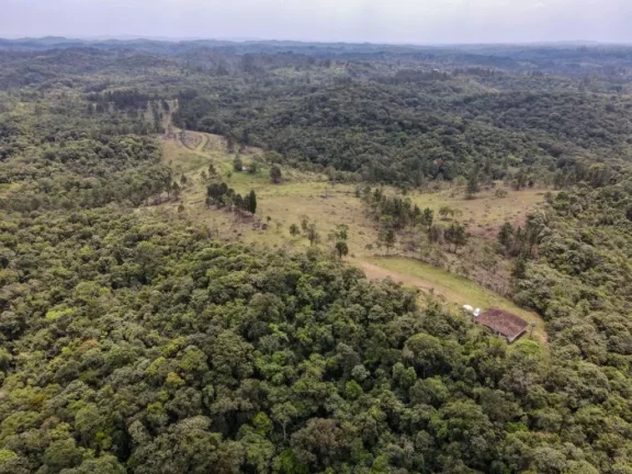 Imagem Fazenda à venda de 118,75 hectares em Embu Guaçu!!! Oportunidade incrível!
