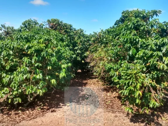 Imagem Sítio com 22.000 pés de café em Jacuí - Minas Gerais - 4 alqueires.