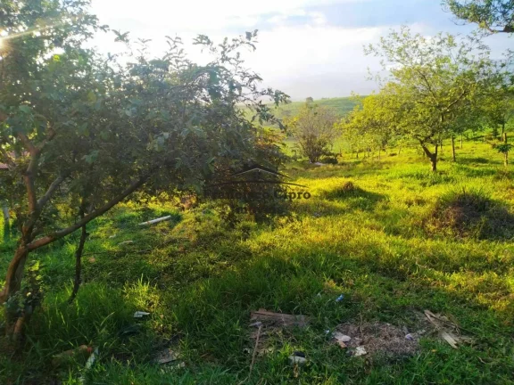 Imagem Terreno Terreno