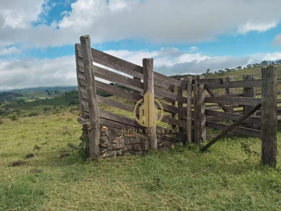 Imagem Fazenda à venda no Municipio de Capitolio, 376000 m² por R$ 2.400.000 - Zona Rural - Capitólio/MG