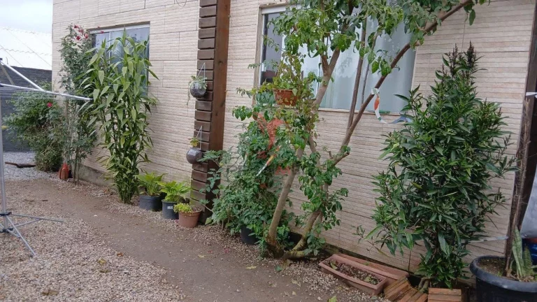 Imagem Sabe aquele imóvel em Imbitubapara chamar de seu? é esse!!! morar tranquilo não tem preço