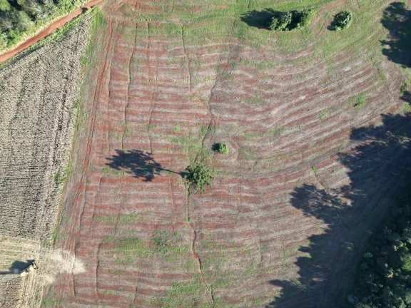 Foto do imóvel: Sítio à venda em Santa Maria, Centro - Energia Elétrica, Rio e Açude