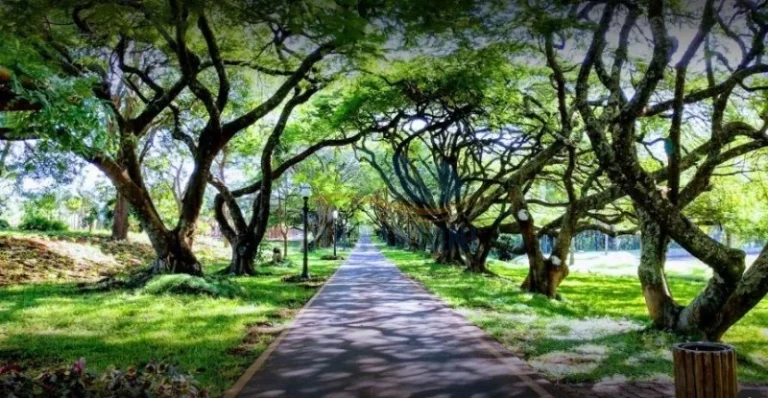 Imagem Terreno Condomínio - Cravinhos - Fazenda Santa Maria - Região Sul