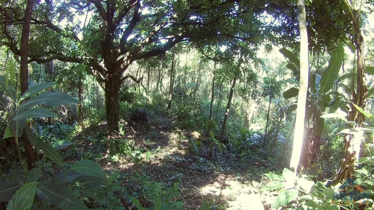 Imagem Terreno com 30.958m2, à venda em Buenos Aires - Guarapari/ES