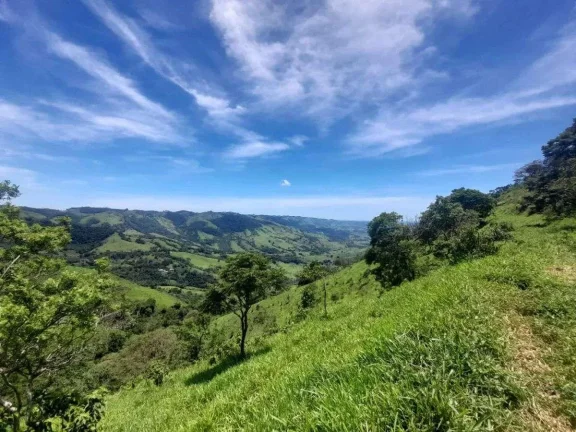 Imagem Fazenda à venda em Barbacena, Correia de Almeida, com 4 quartos, 53ha