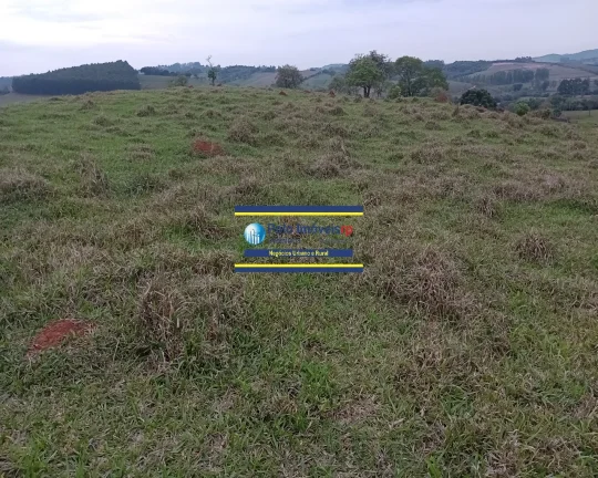 Imagem Sítio 14,5 alqueires para gado, milho, soja em Jacuí Sul de Minas Gerais - possui casa, energia e água.