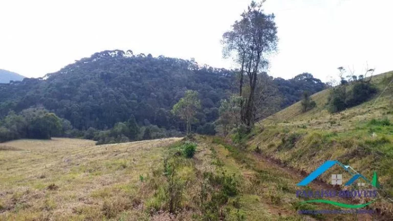 Imagem Paraíso Ecológico na Serra da Mantiqueira: Fazenda com 38,72 hectares!