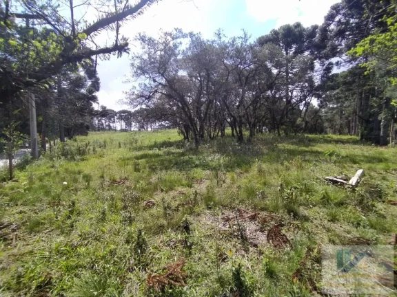 Imagem Terreno para Venda em São José dos Pinhais, Contenda, 1 dormitório
