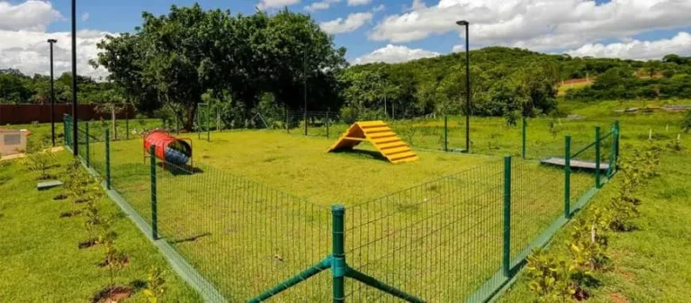 Imagem Dois Agios De Dois Lotes Juntos No Jardins Porto