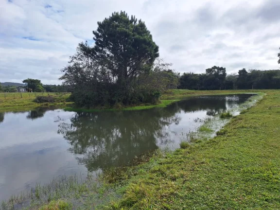 Imagem Sítio à venda, com 1 hectare, açude, no Passo da Areia - Viamão/RS