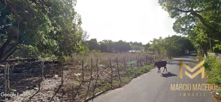 Imagem Terreno à venda, 15000 m² por R$ 6.000.000,00 - Amador - Eusébio/CE