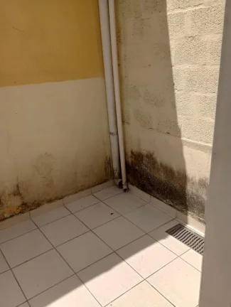 Imagem Alugo Apto Sobre loja em Santo André, Parque das Nações