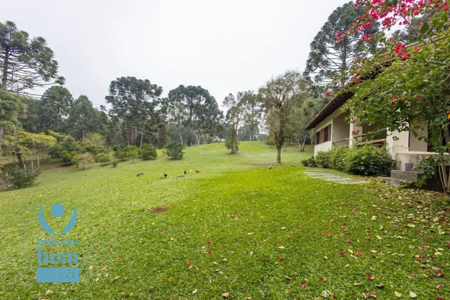 Imagem Belíssima Chácara com 3 dormitórios à venda, 6000 m² por R$ 1.400.000 - Salgadinho - Campo Largo/PR