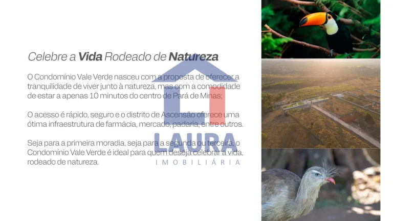Imagem TERRENO RURAL em PEQUI - MG, Pequi