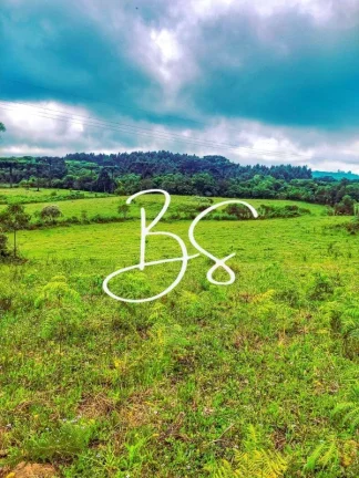 Imagem SITIO RURAL em GRAMADO - RS, Serra Grande