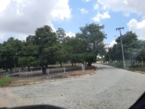 Imagem Granja para Venda em Macaíba, Centro, 2 dormitórios, 3 banheiros, 9 vagas