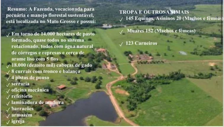 Área - Propriedade à Venda - MT