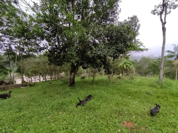 Imagem CHÁCARA RESIDENCIAL À VENDA, ESTÂNCIA PIRATININGA/PALMEIRAS, SUZANO