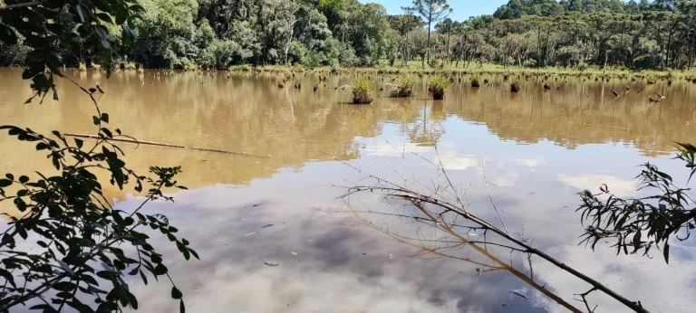 Imagem TERRENO RURAL em CAMPO BELO DO SUL - SC, Área Rural