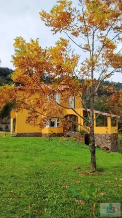 Imagem Sítio com 4 quartos, 6,3 ha, à venda em Morro Reuter - RS